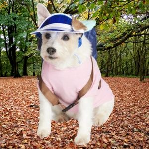 CLEAR BLUE ☆ CUTE & TRENDY ☆ PET VISOR ☆ NWT